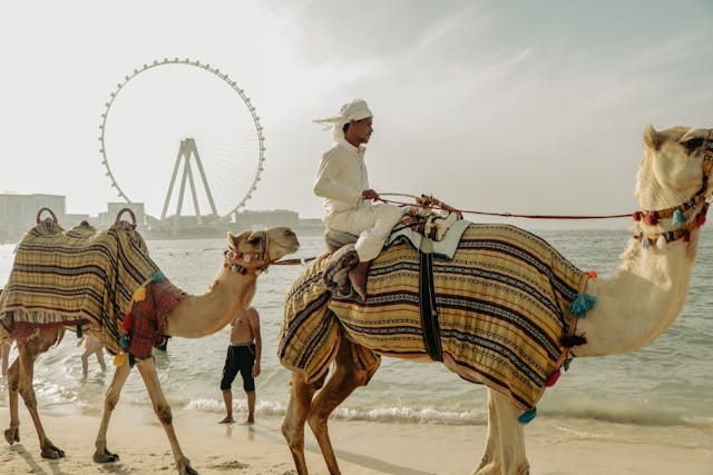 Dubai Visa Information for Conference Participants visa for Health conference - 11th International Conference on Global Public Health 2026 De Montfort University, Dubai