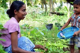 Community Projects Community Health Projects - 11th International Conference on Global Public Health 2026 De Montfort University, Dubai